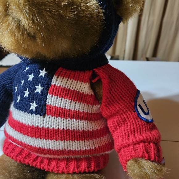 Patriotic Teddy Bear with Flag Sweater - Picture 7 of 12